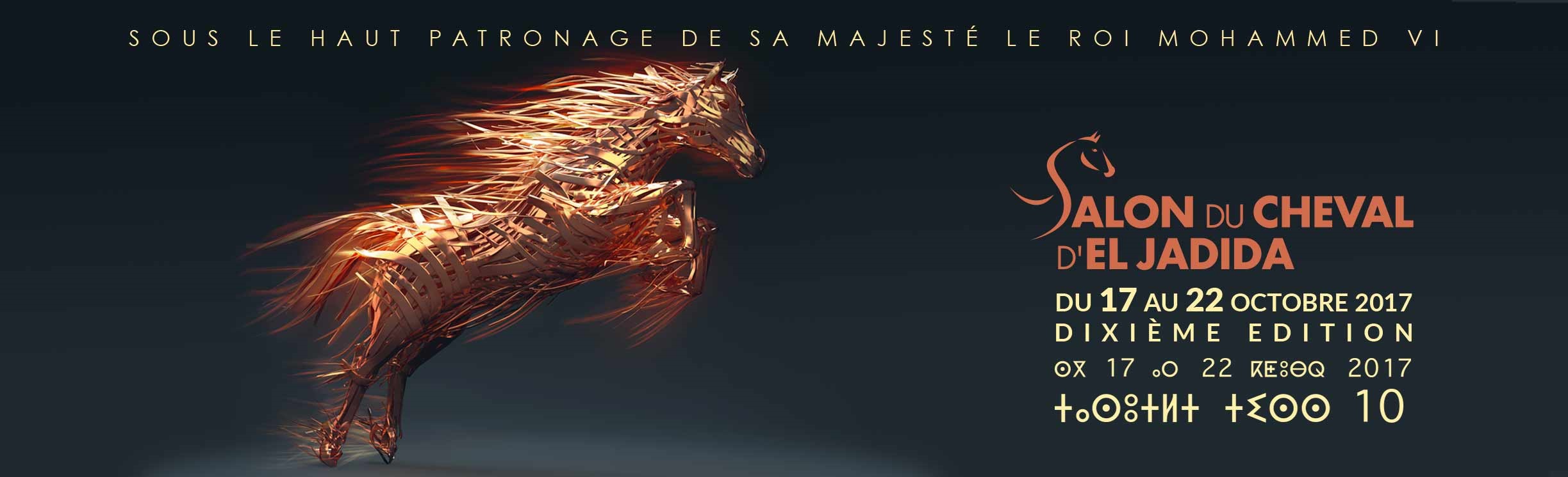 Salon du Cheval
Salon du Cheval